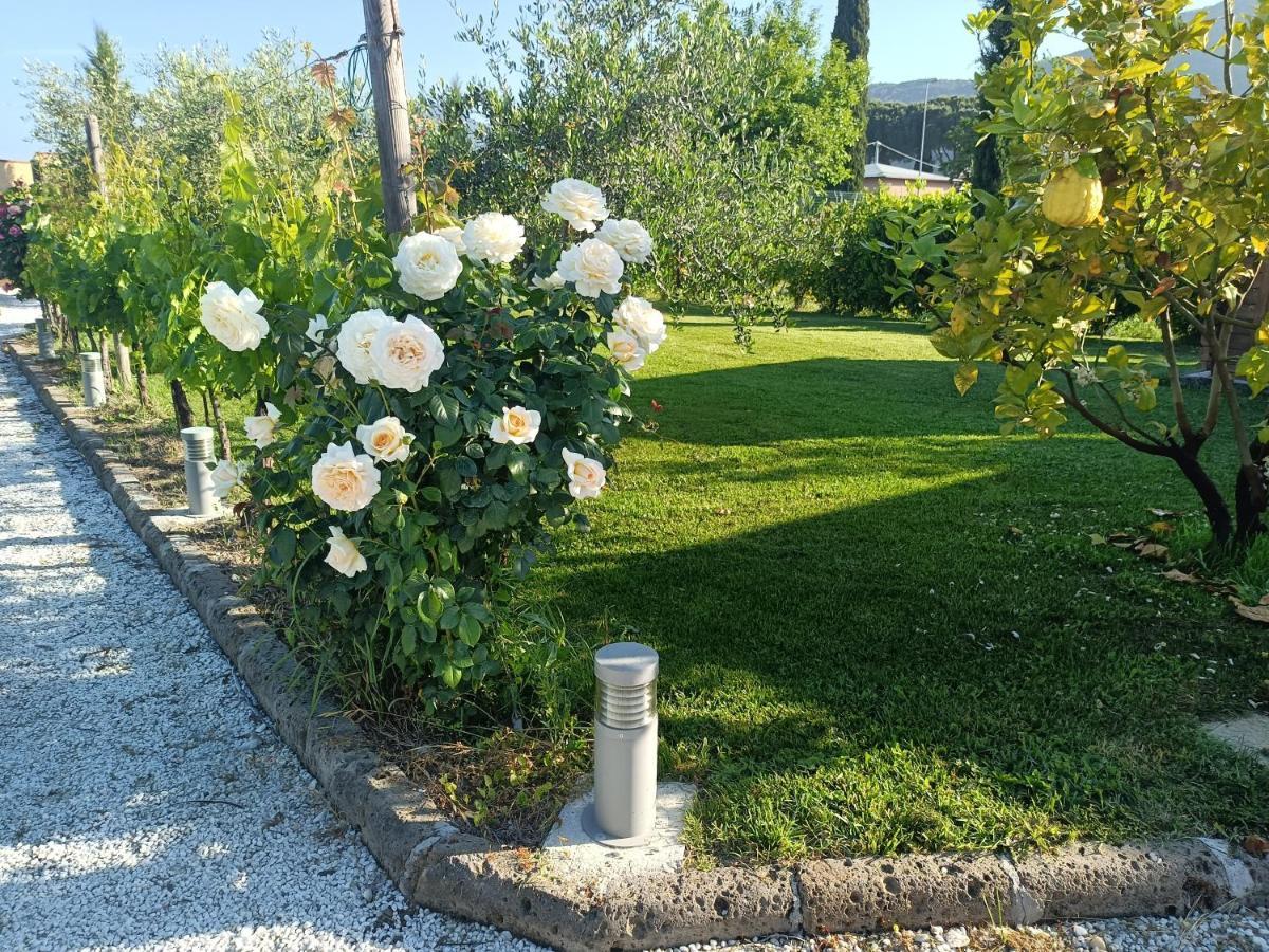 La Casa Di Samarcanda Uliveto Terme Exterior foto